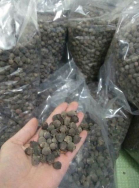 quả sim rừng khô 1 kg | BigBuy360 - bigbuy360.vn