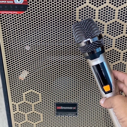 Loa kéo winmax 3333 gỗ 3 tất công xuất 450w , loa kéo beemax ,loa kéo promax
