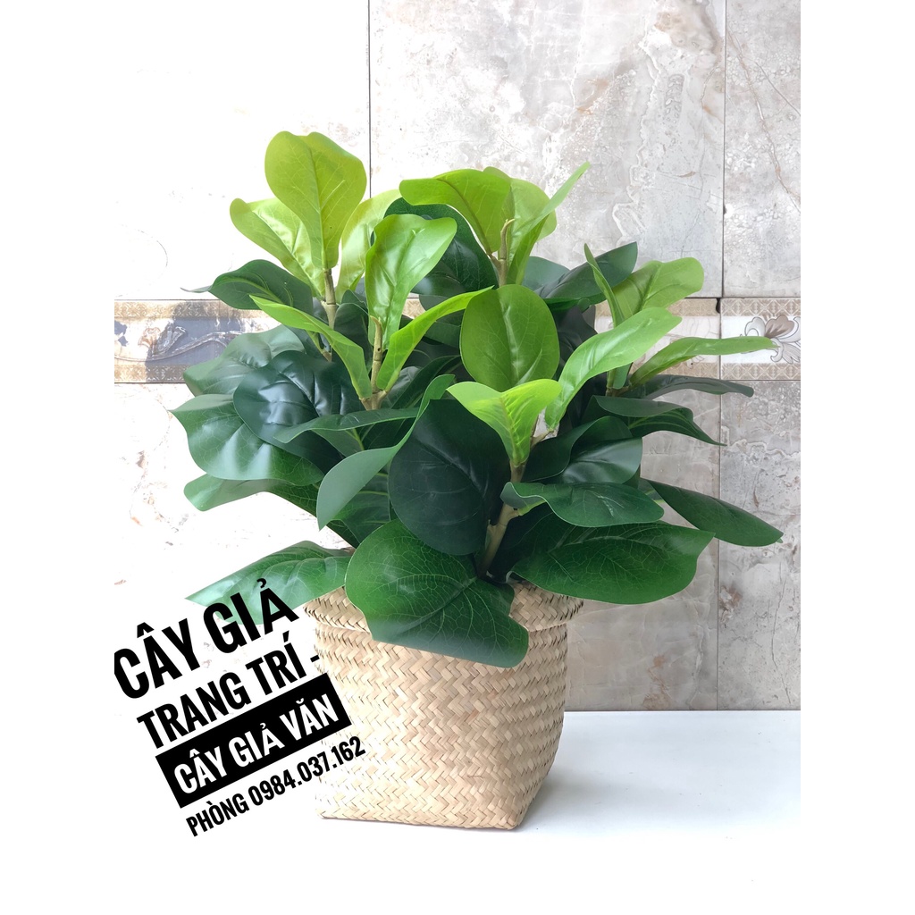 Cây Bàng Sing Giả Để Bàn Trang Trí - Cây Giả Mini