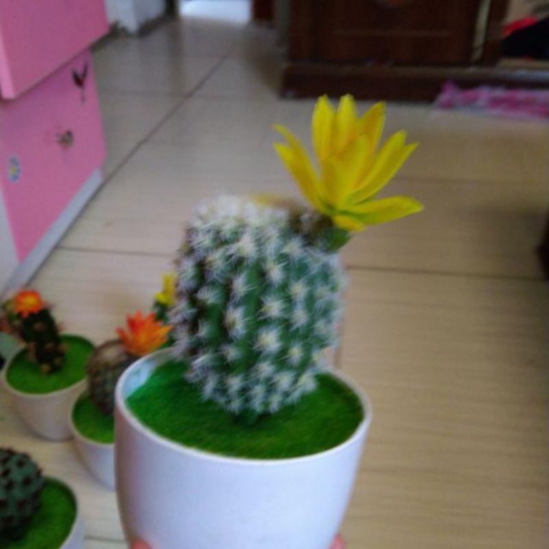Xương rồng giả trang trí - 16 nhánh -trang trí nhà cửa, nội thất siêu đẹp!
