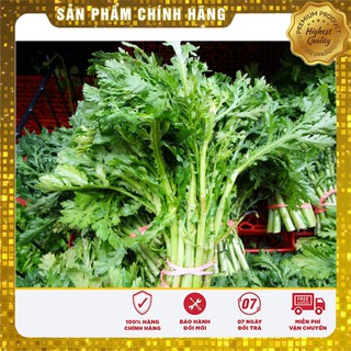 Hạt Giống Rau Cải Cúc Tẻ (20gr)
