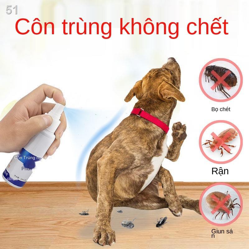 thuốc bọ chét bên ngoài the dog tẩy giun cho mèo veA