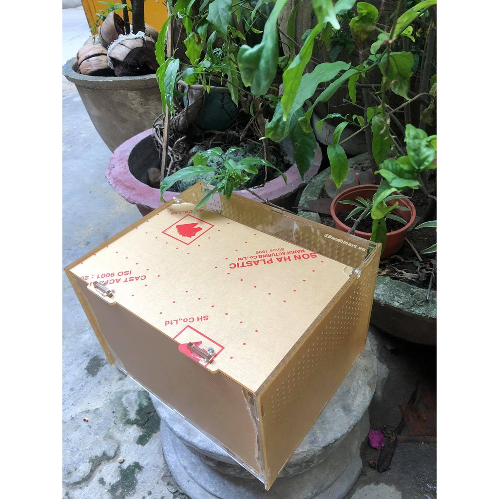 Hộp Nuôi Nhện/ Rết/ Rùa/ Ếch/ LG/bò sát...mica cao cấp KT 30x20x20