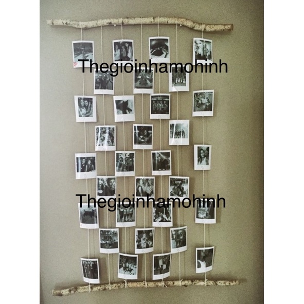 Cành gỗ treo ảnh decor trang trí không gian