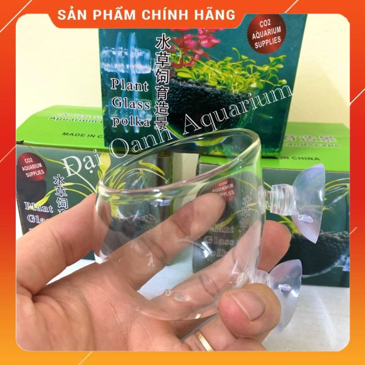 Cốc Trồng Cây Thủy Tinh Trang Trí Bể Cá Cảnh
