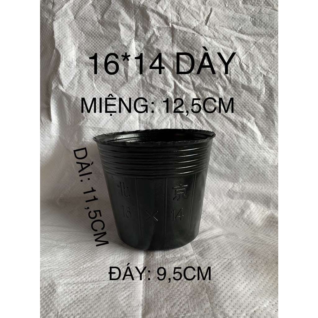 sét 5 cái bầu ươm cây mã 16*14( hàng dày )