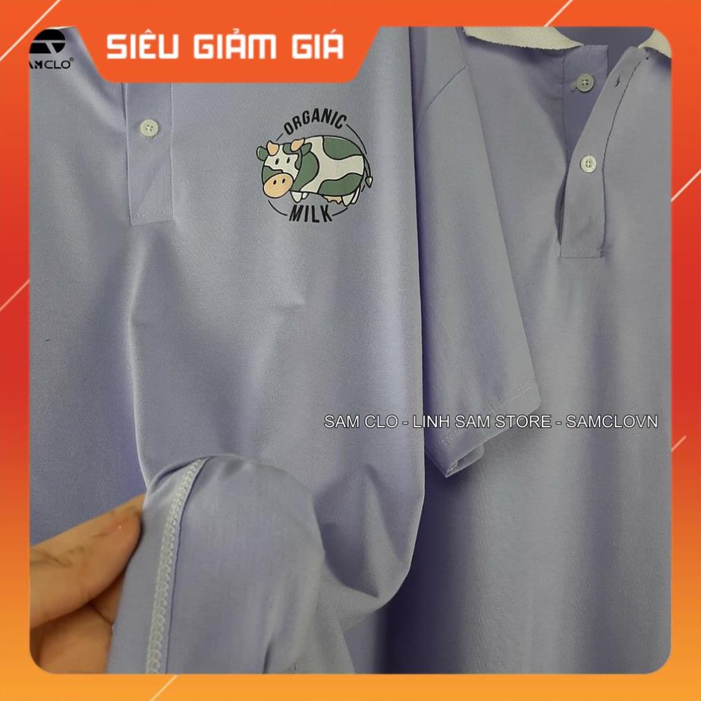 Áo thun Polo tay lỡ form rộng nữ SAM CLO phông freesize unisex mặc đi học, nhóm, lớp in hình BÒ SỮA