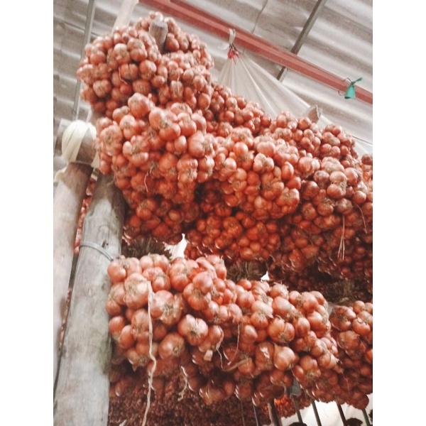 ⚡️ Hành ta khô Kinh Môn Hải Dương cao cấp