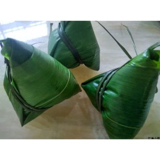 đót chít (gốc giống)