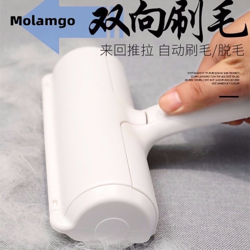 Cây lăn lông chó mèo