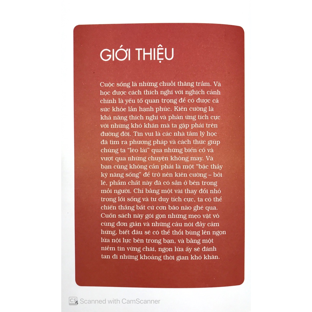Sách - Triết Lý Sống Thế Hệ Z - Kiên Cường Trên Mọi Chiến Trường (Anna Barnes - Văn Lang)