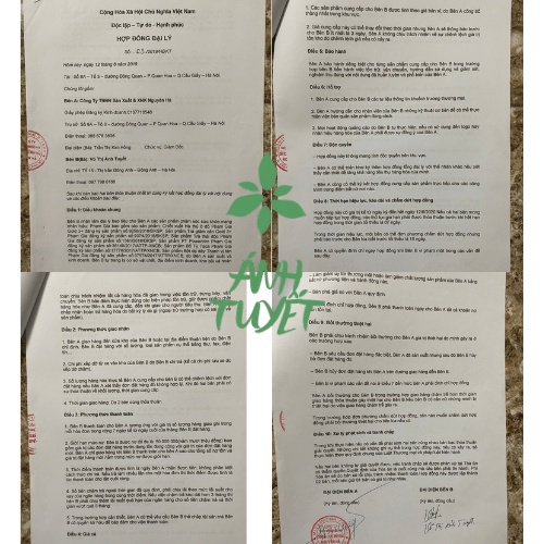 Trà giảm cân Phạm Gia gold 3+ hỗ trợ giảm cân