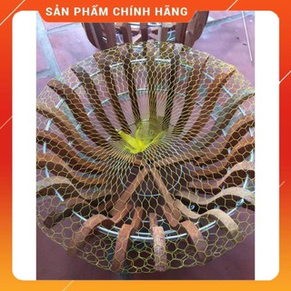 20 túi lưới lót chậu.