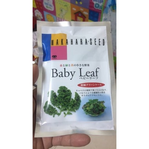 ATP Farm - Hạt giống cải KALE XOĂN BABYLEAF - Nhật Bản