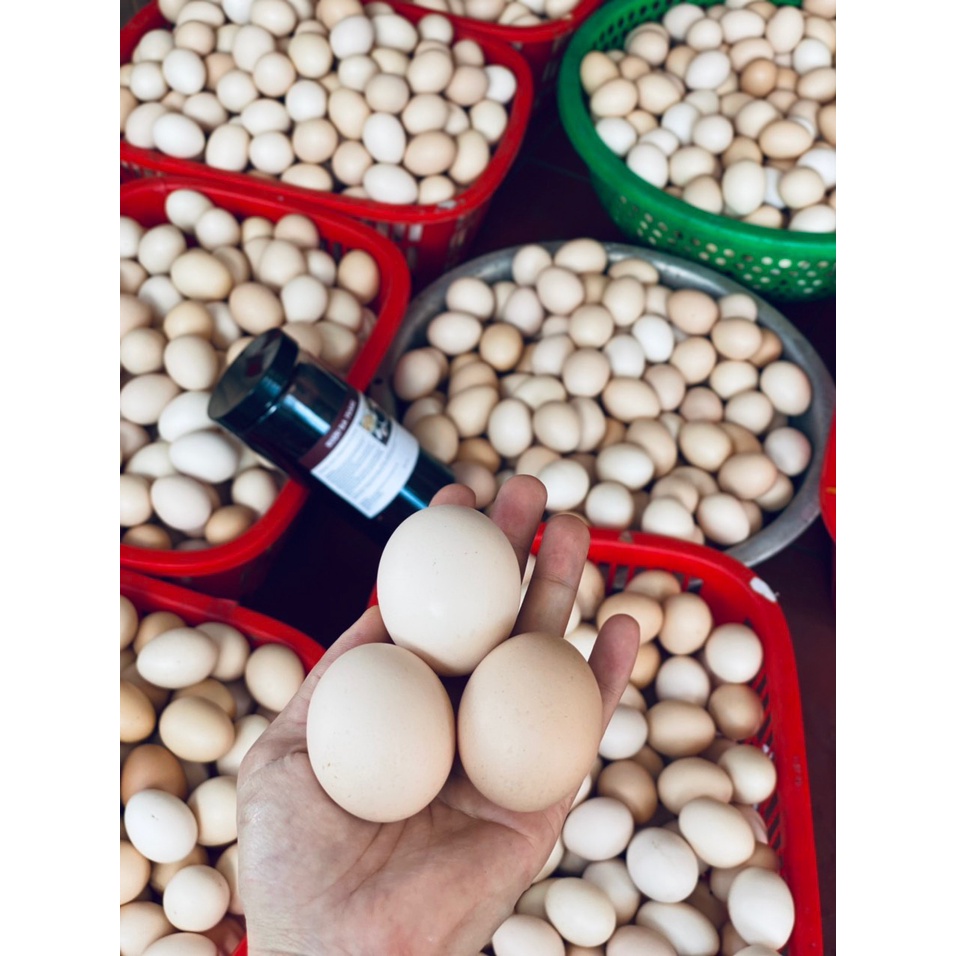 CỐT RƯỢU BA TRĂNG TRỨNG GÀ HẠ THỔ SIÊU NGON 100% TINH CÂT