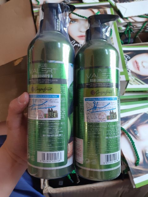 Cặp Dầu Gội , Dầu Xả Bưởi Grape Fruit Mẫu Cũ + Mẫu Mới | BigBuy360 - bigbuy360.vn