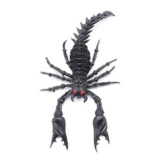 Đồ chơi con bọ cạp nhựa giải trí vui nhộn Mã Sản Phẩm EJ1429