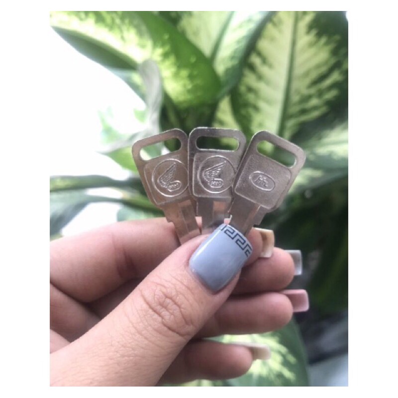 Phôi chìa khoá xe 67 ( combo 3 chìa )