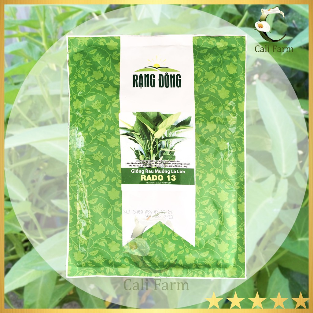 Hạt Giống Rau Muống Lá Lớn 500gram Rado 13  Năng suất cao, dễ trồng