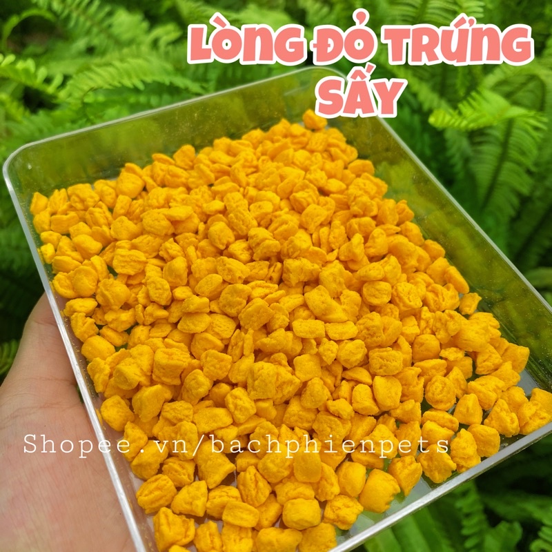 Lòng đỏ trứng gà sấy thức ăn dinh dưỡng cho Hamster