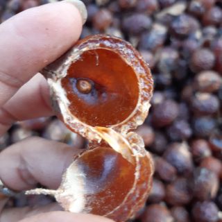 BỘT BỒ HÒN NGUYÊN CHẤT .500gr