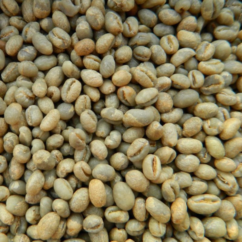 1kg nhân cà phê culi sống