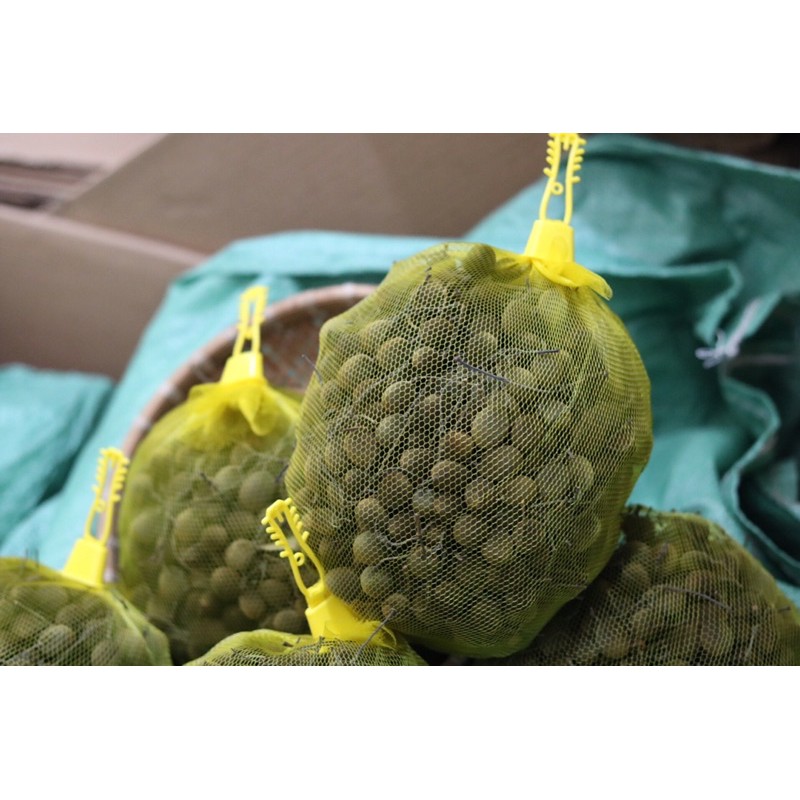 Say nhung rừng 500gr Nhii Food đồ ăn vặt chua chua ngọt ngọt | BigBuy360 - bigbuy360.vn