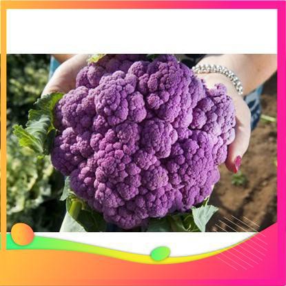 Hạt Giống Súp Lơ Tím - 10 Hạt VIETGAR