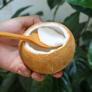 Combo 10 Trái Dừa Xiêm Gọt Trọc Tươi Ngon Ngọt Nước Thượng Hạng - Foodmap Fruits