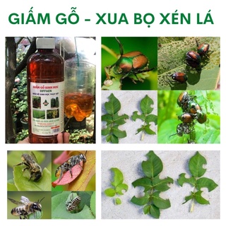 GIẤM GỖ POOH GARDENING