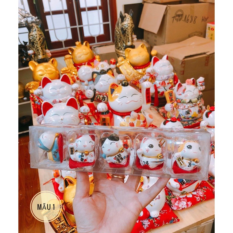 [ 11 MẪU] 🔥 FREESHIP 🔥 Bộ 5 mèo thần tài sứ mini, hộp acrilic chống va đập. | BigBuy360 - bigbuy360.vn