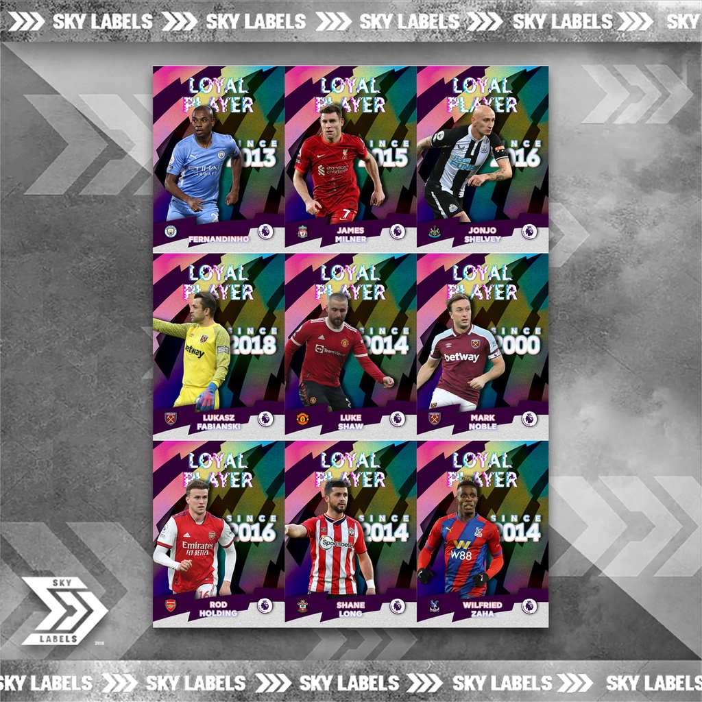 thẻ SKY Loyal Player - Milner, Zaha, Fernandinho, Luke Shaw, Shane Long, Noble, Holding, Fabianski, Shelvey - Manchester