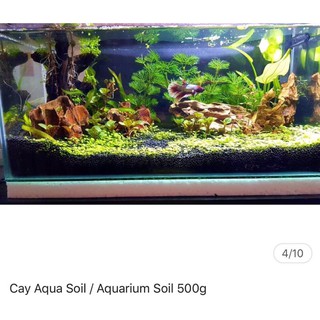 NỀN THUỶ SINH CAY AQUA SOIL(Bao 3L~3kg)