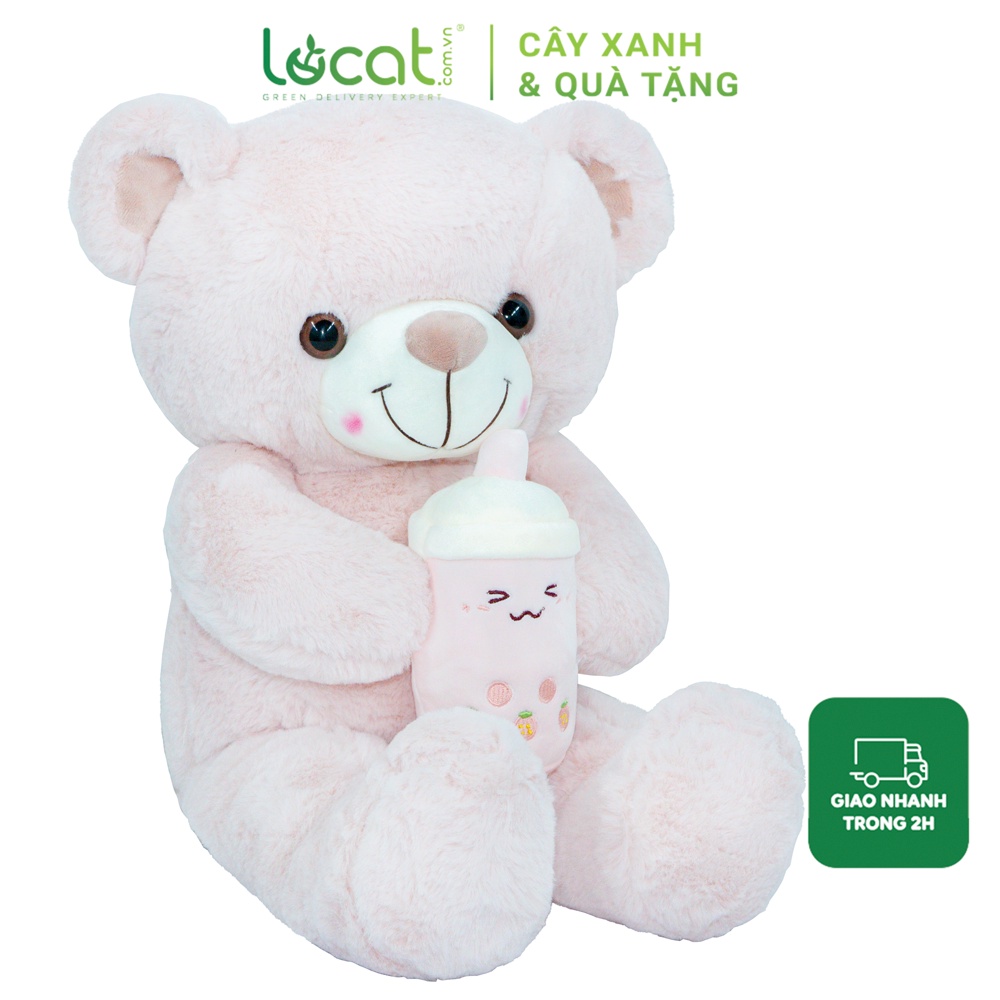 Gấu bông Teddy ôm trà sữa, quà tặng sinh nhật dễ thương - 12917