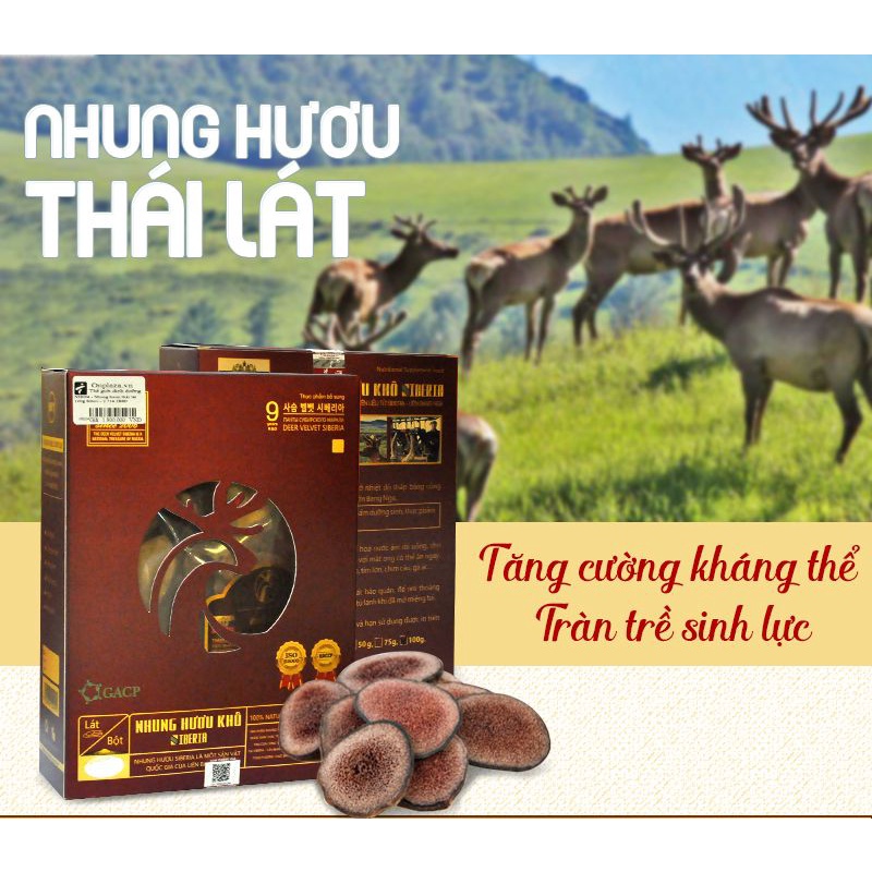 NHUNG HƯƠU KHÔ - nhung hươu thái lát