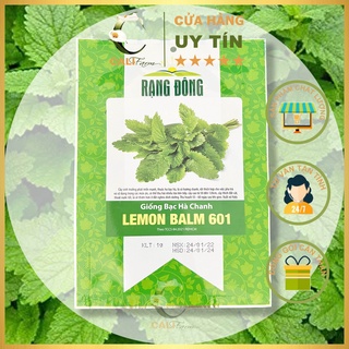 Hạt giống bạc hà chanh lemon balm 601 gói 1gr