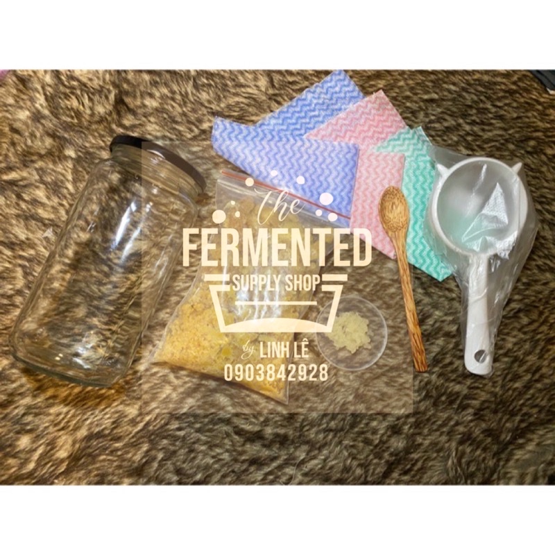 [Lựa chọn tiết kiệm tiện lợi Nấm nước dừa Water Kefir] Trọn bộ gồm Nấm nước Water Kefir cùng dụng cụ và nguyên liệu