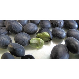 ĐẬU ĐEN XANH LÒNG 1Kg
