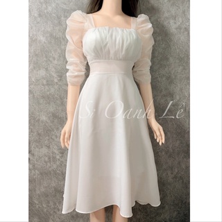 Đầm tiểu thư tay voan D132