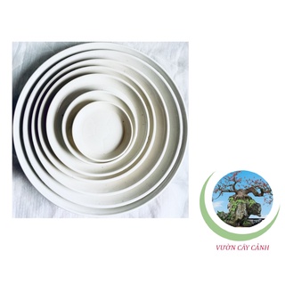 Đĩa lót chậu tròn Phi 24cm - #042D#