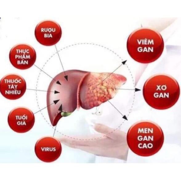 Bổ gan Kwangdong LiverX10 hộp 120 viên Hàn Quốc HÀNG NỘI ĐỊA HÀN QUỐC NHẬP KHẢU 100% | BigBuy360 - bigbuy360.vn