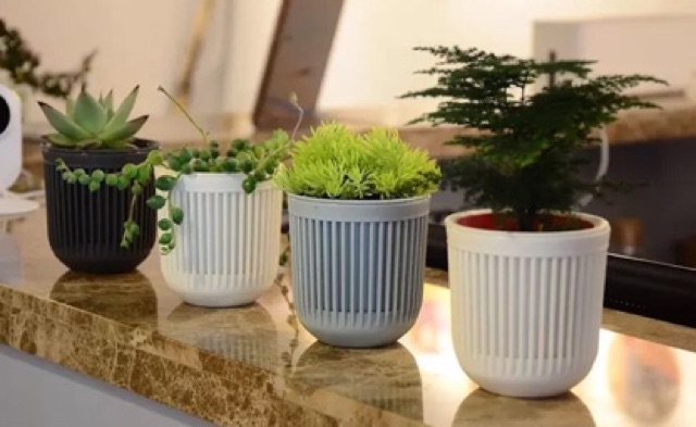 Chậu nhựa trồng cây hai lớp 9*8cm.