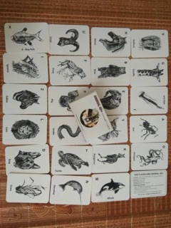 Thẻ animal 4d