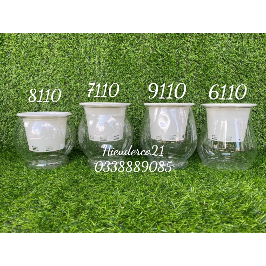Chậu trồng thủy sinh bằng nhựa trong suốt cao 13 -15cm, miệng 11cm