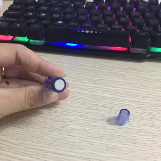 Kim nano dùng cho cấy phấn cấy tảo