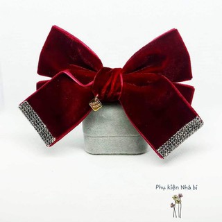 Cột tóc nơ Nhà bí