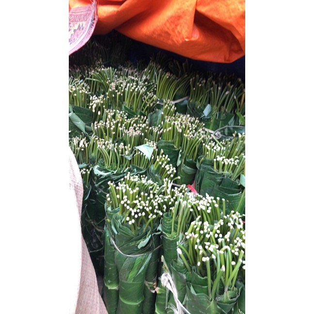 Lá dong tươi gói bánh chưng, bánh tét  size trên 25cm