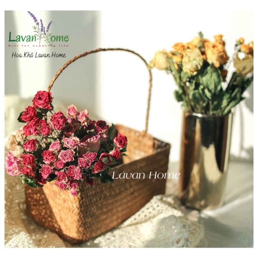 Hoa hồng sấy khô vintage-Rosie Dried Flowers trang trí phòng, tiệc retro, trang trí thiệp, nến thơm -hoa hồng size 1-3cm