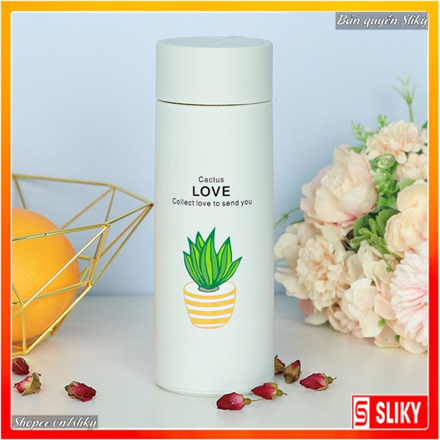 Bình Thủy Tinh Giữ Nhiệt Cao Cấp Xương Rồng 450ml VAPUNO
