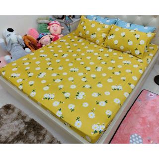Ga chun cotton poly m8
